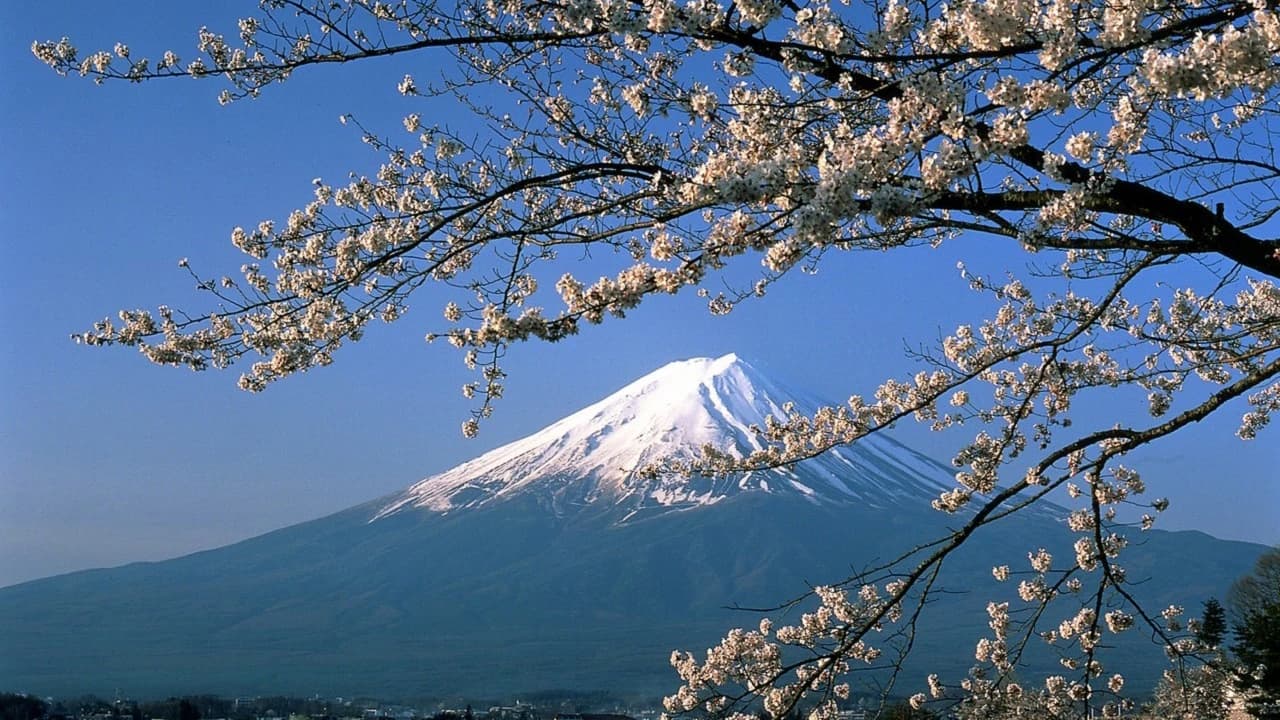 Mount Fuji and Hakone Tour - image 8