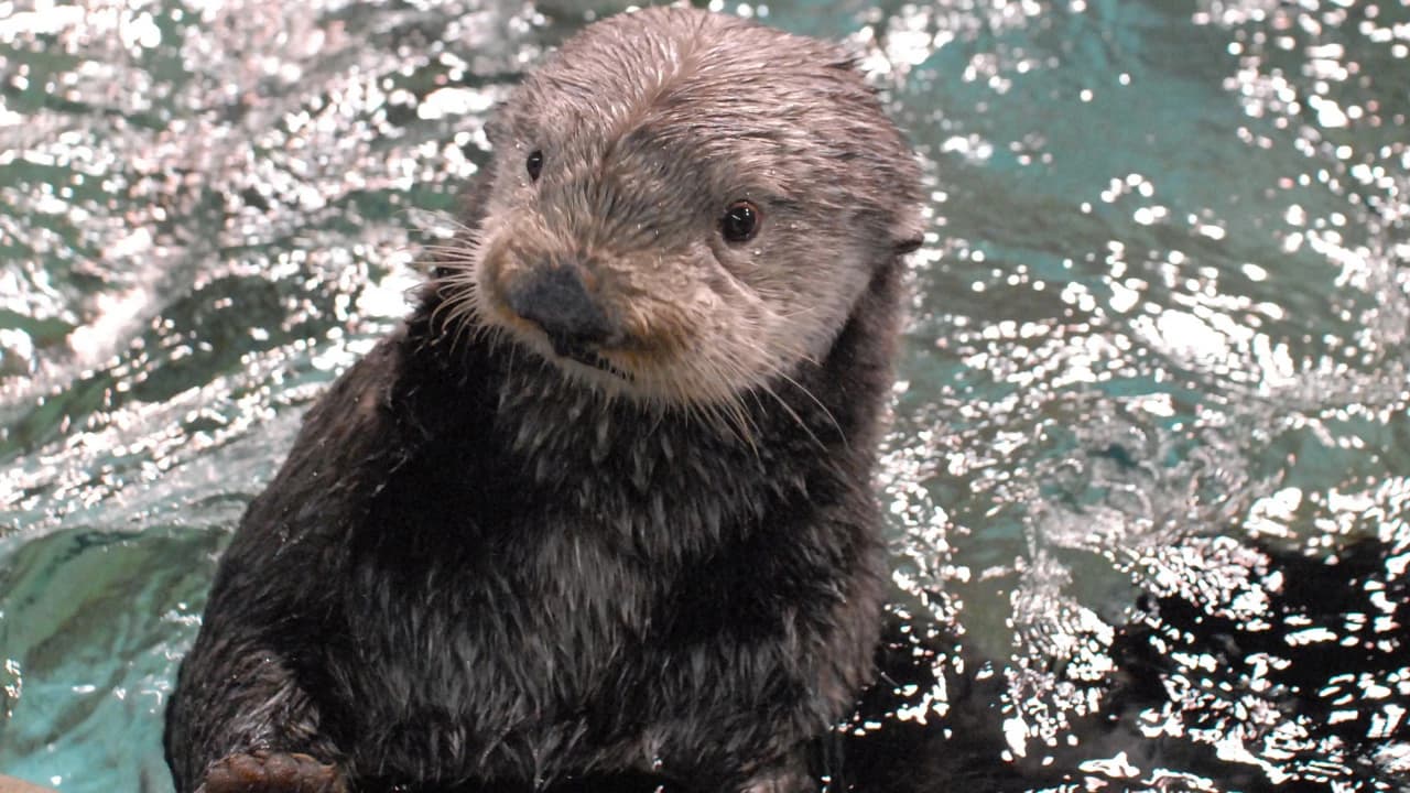 Marine World Uminonakamichi - Photo 2