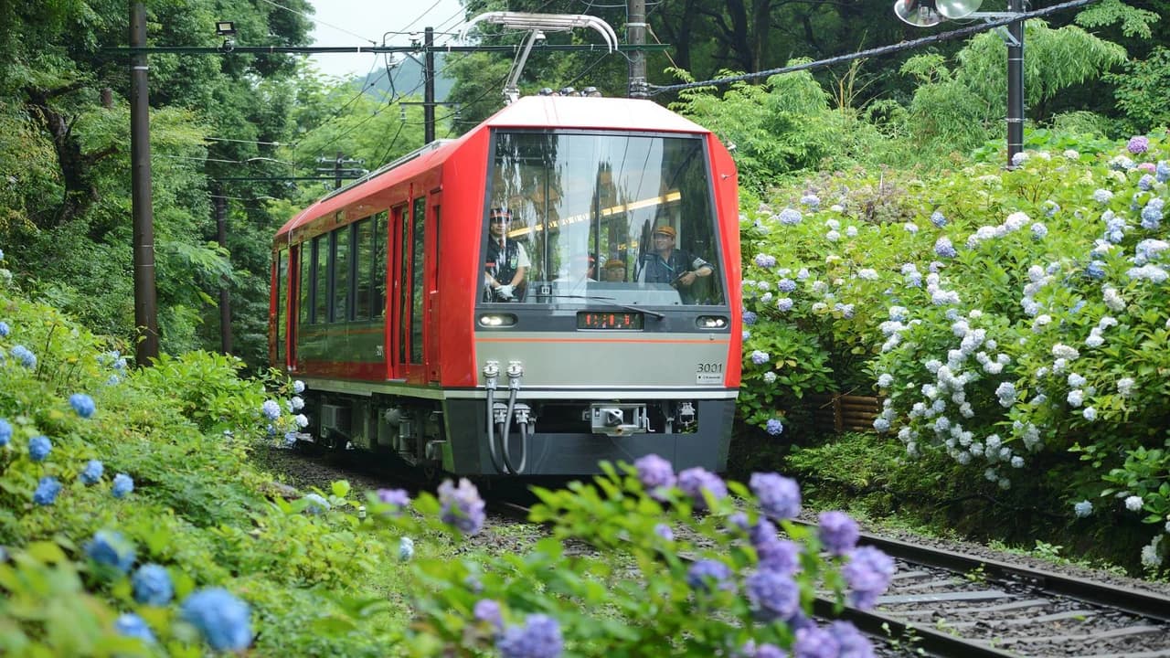 Hakone Freepass