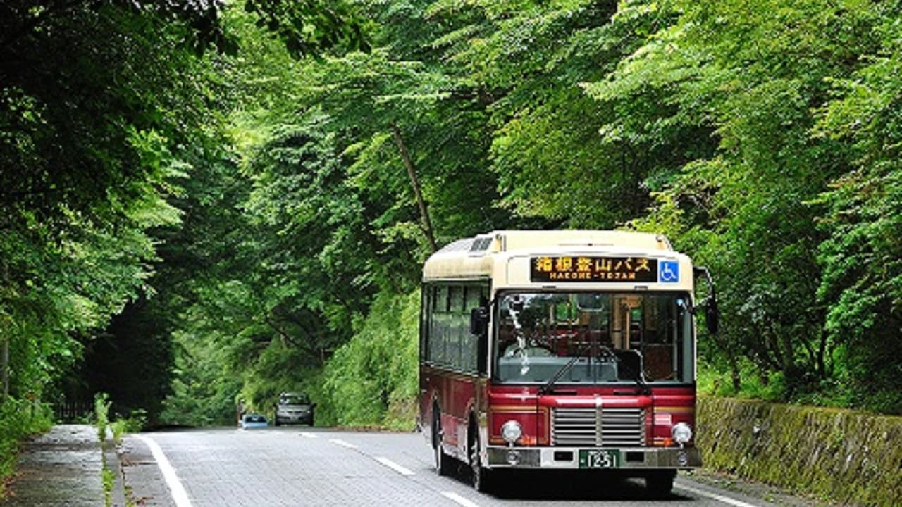 Hakone Freepass - Photo 2