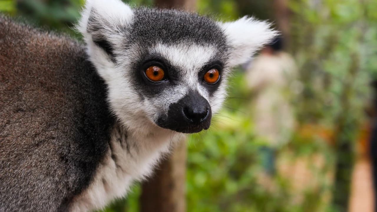 London Zoo - Photo 3