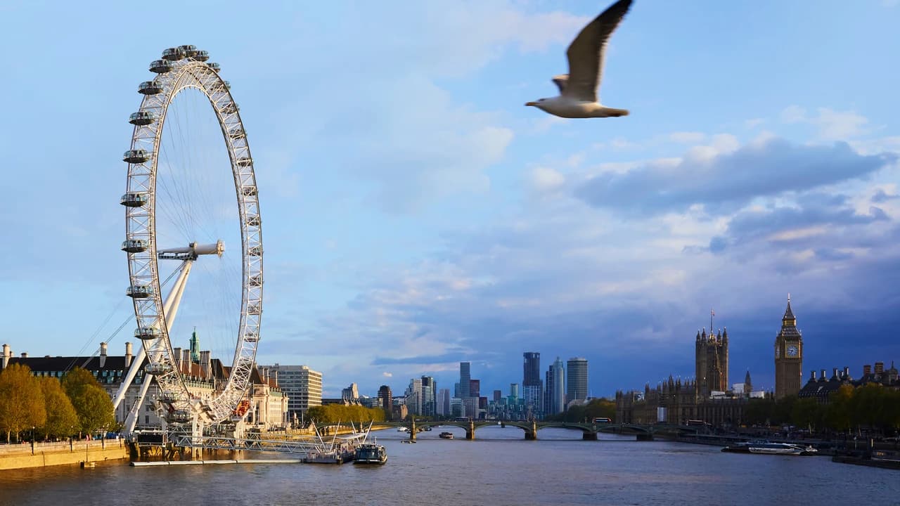 COMBO: London Eye + SEA LIFE London Aquarium Ticket