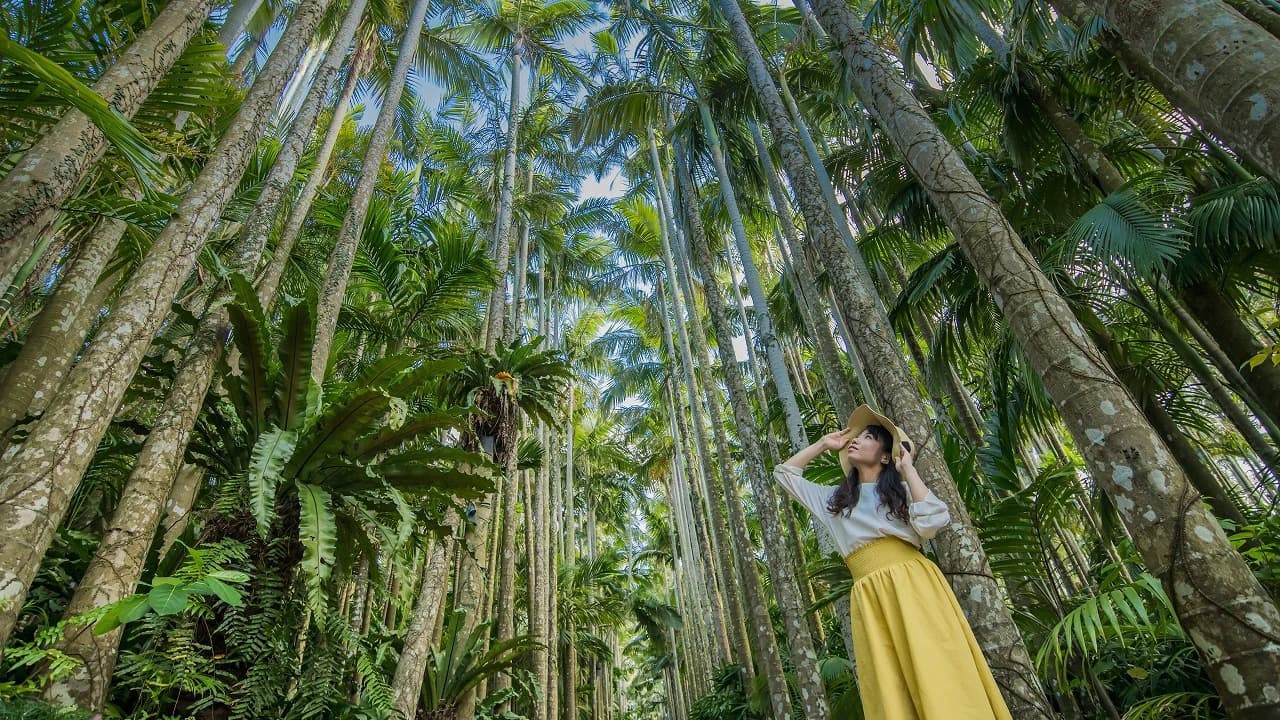 Okinawa Southeast Botanical Gardens