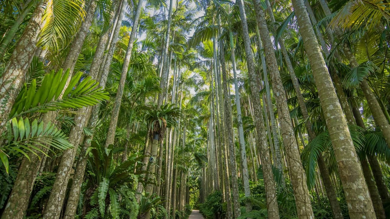 Okinawa Southeast Botanical Gardens - Photo 4