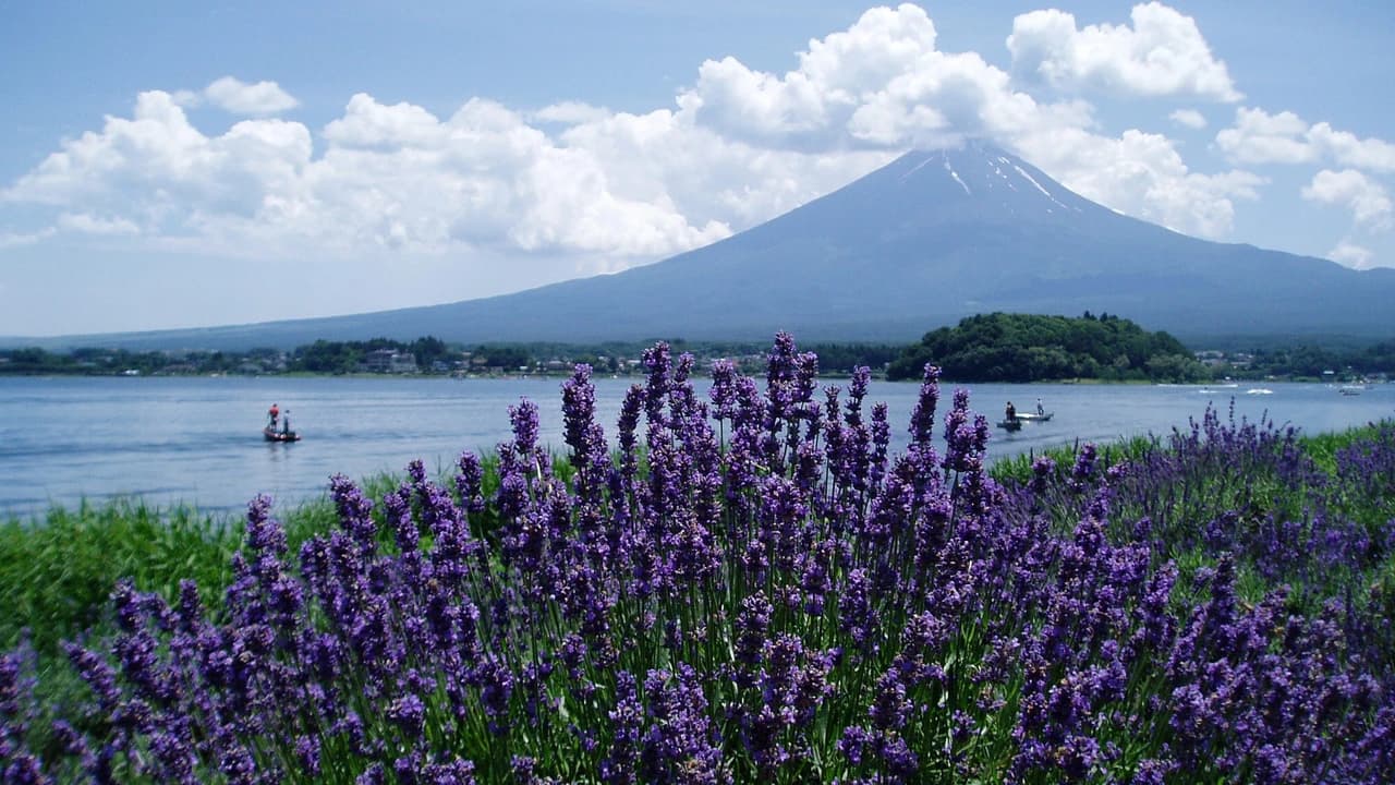 Mount Fuji and Oshino Hakkai Ole Hot Spring Full-Day Tour from Tokyo