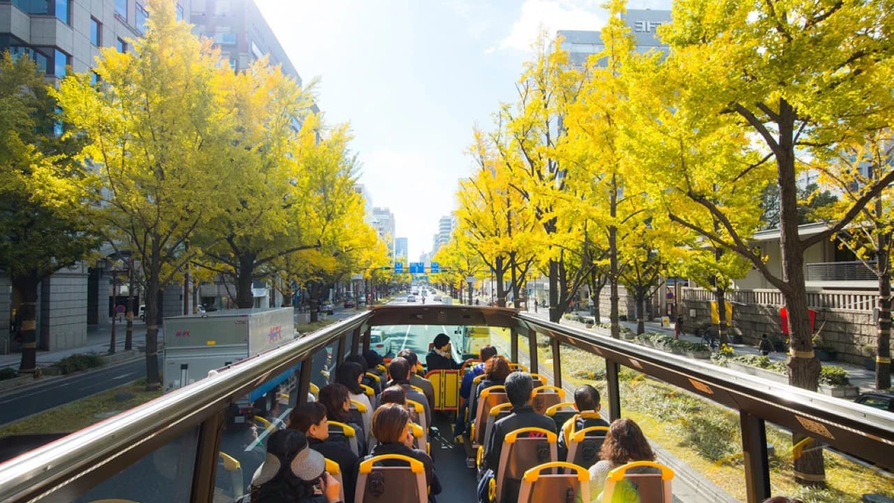 Osaka Sky Vista or Nani Wonder Sightseeing Bus Tour - Photo 3