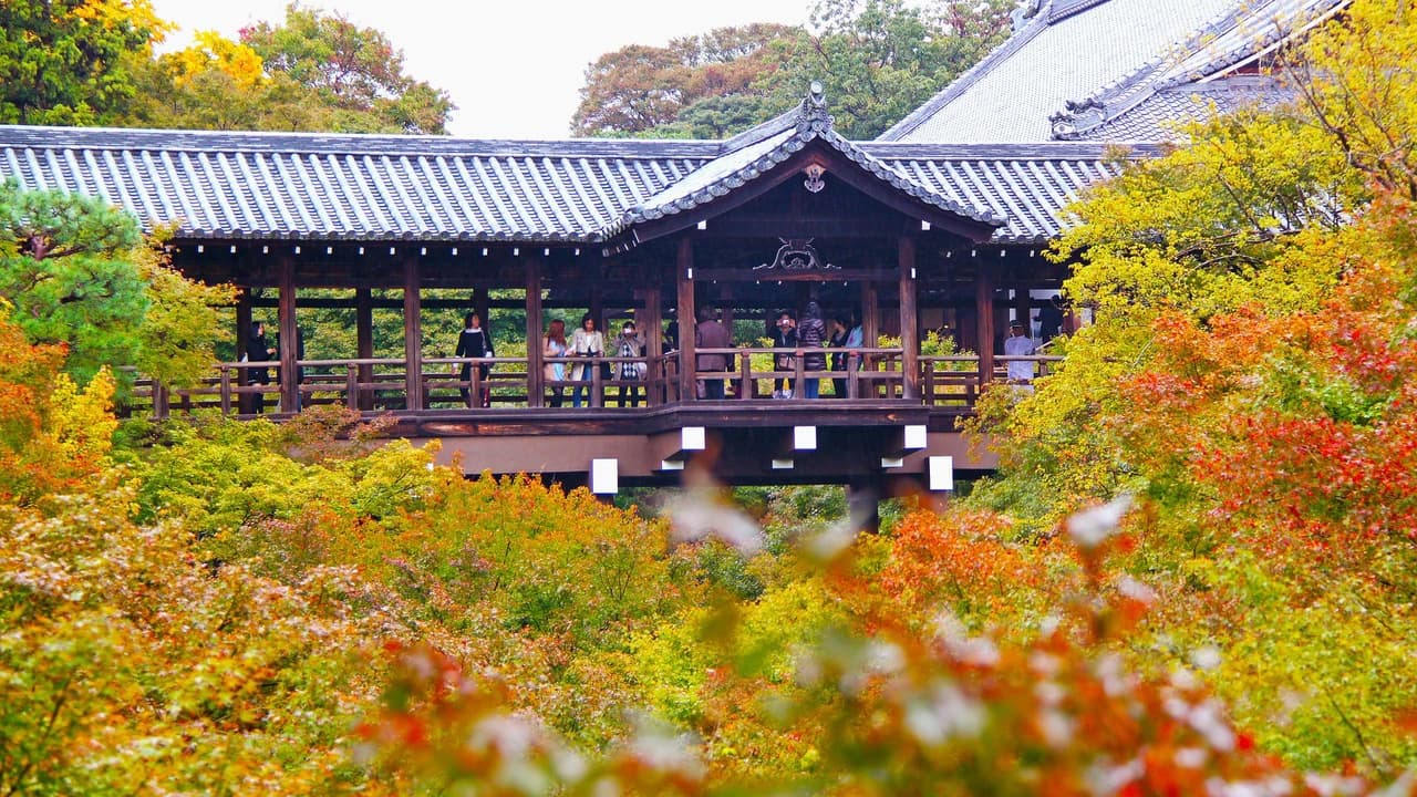 Kyoto-Osaka Sightseeing Pass - Photo 5