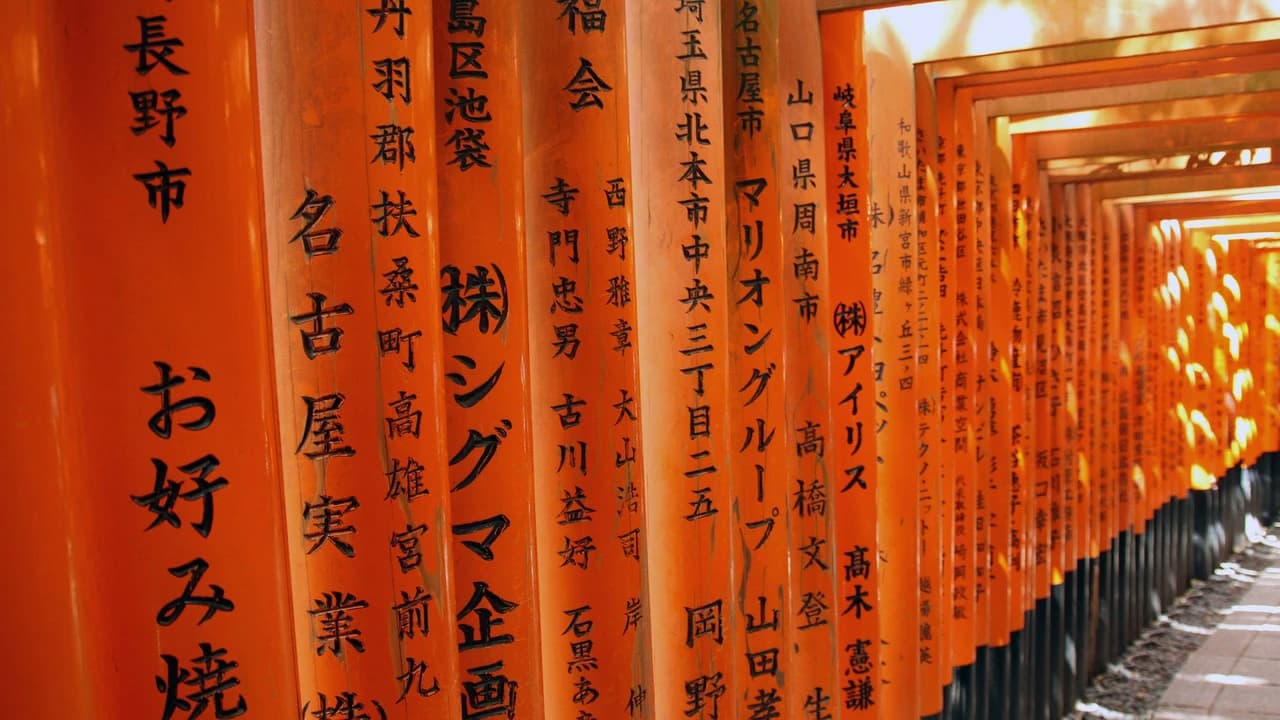 Kyoto-Osaka Sightseeing Pass - image 6