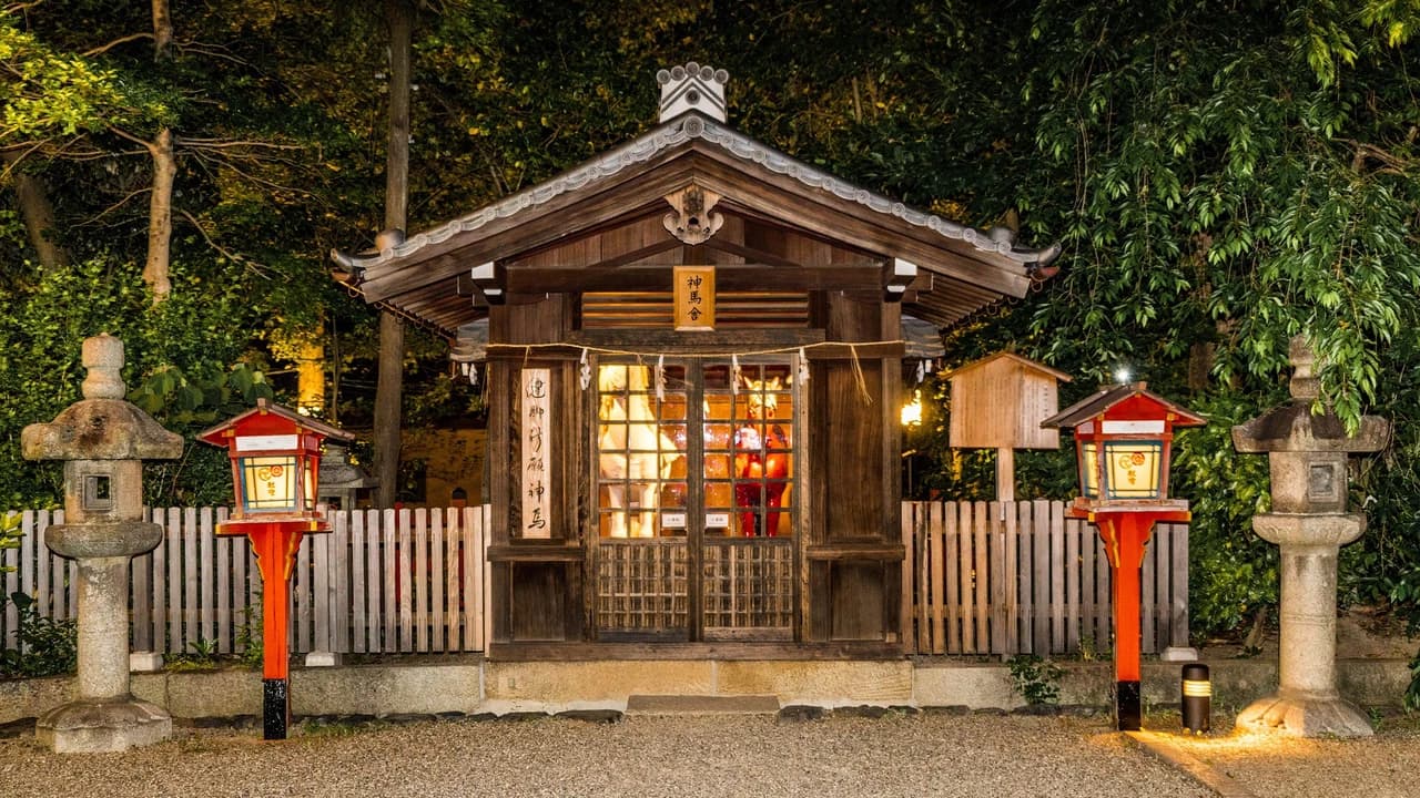 Kyoto-Osaka Sightseeing Pass - image 8