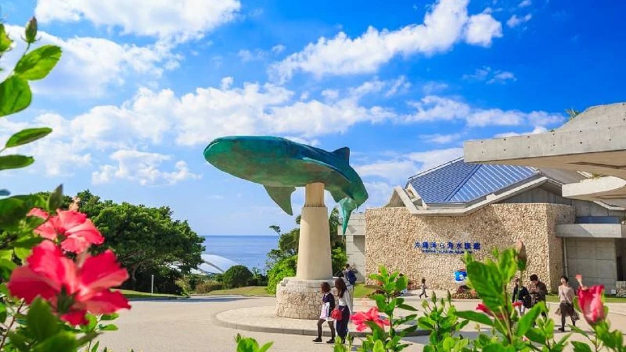 Okinawa Churaumi TokuToku Pass