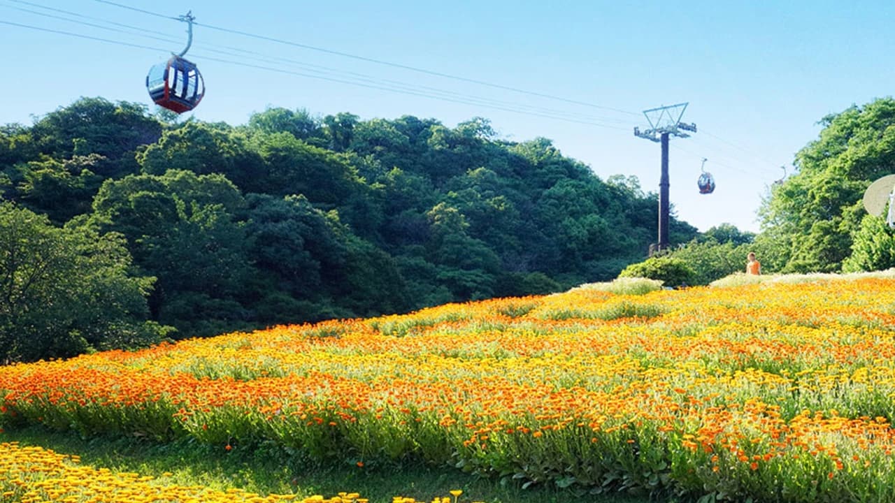 Kobe Nunobiki Herb Gardens and Ropeway Cable Car