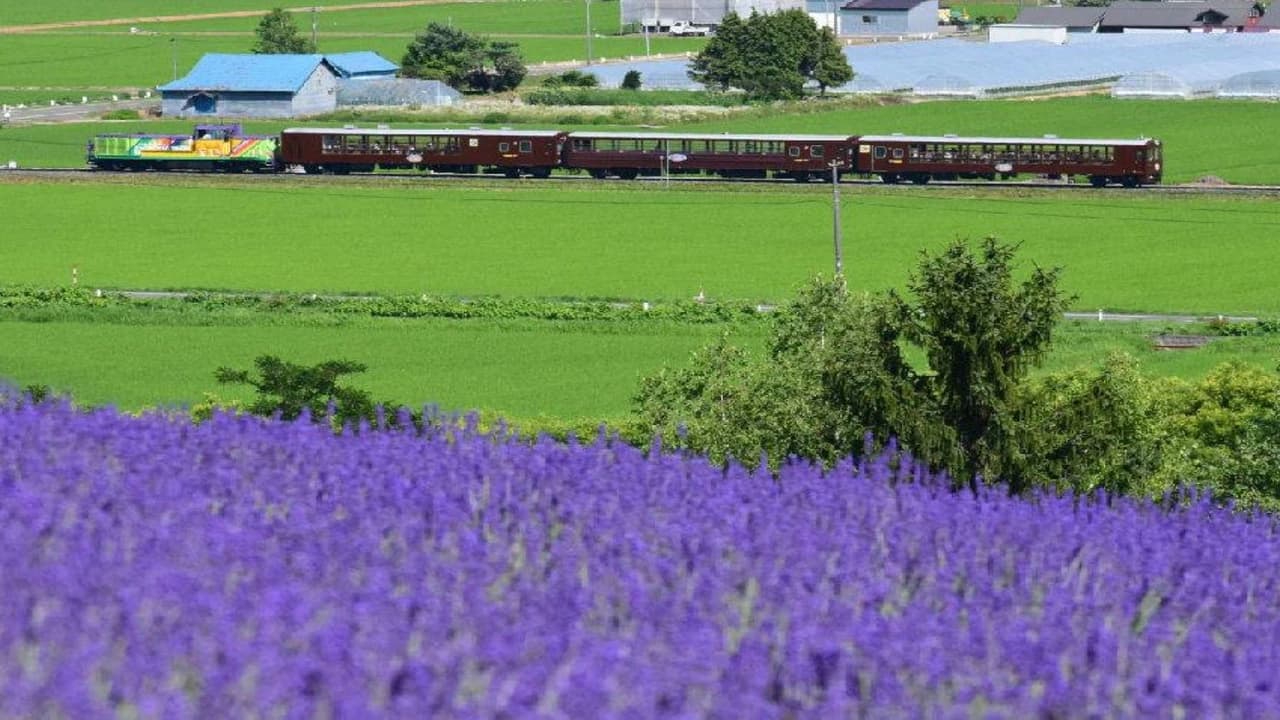 Hokkaido Sapporo-Furano Area Pass - Photo 3