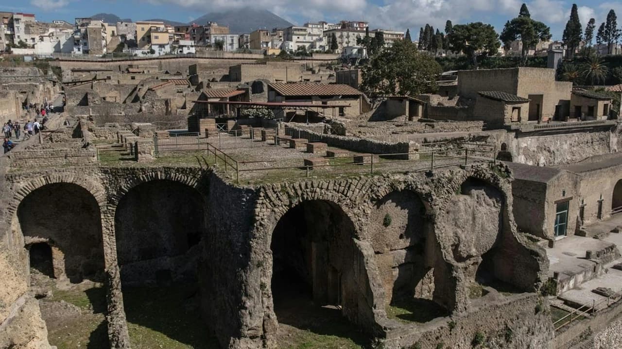 Herculaneum Ticket + Audio Guide
