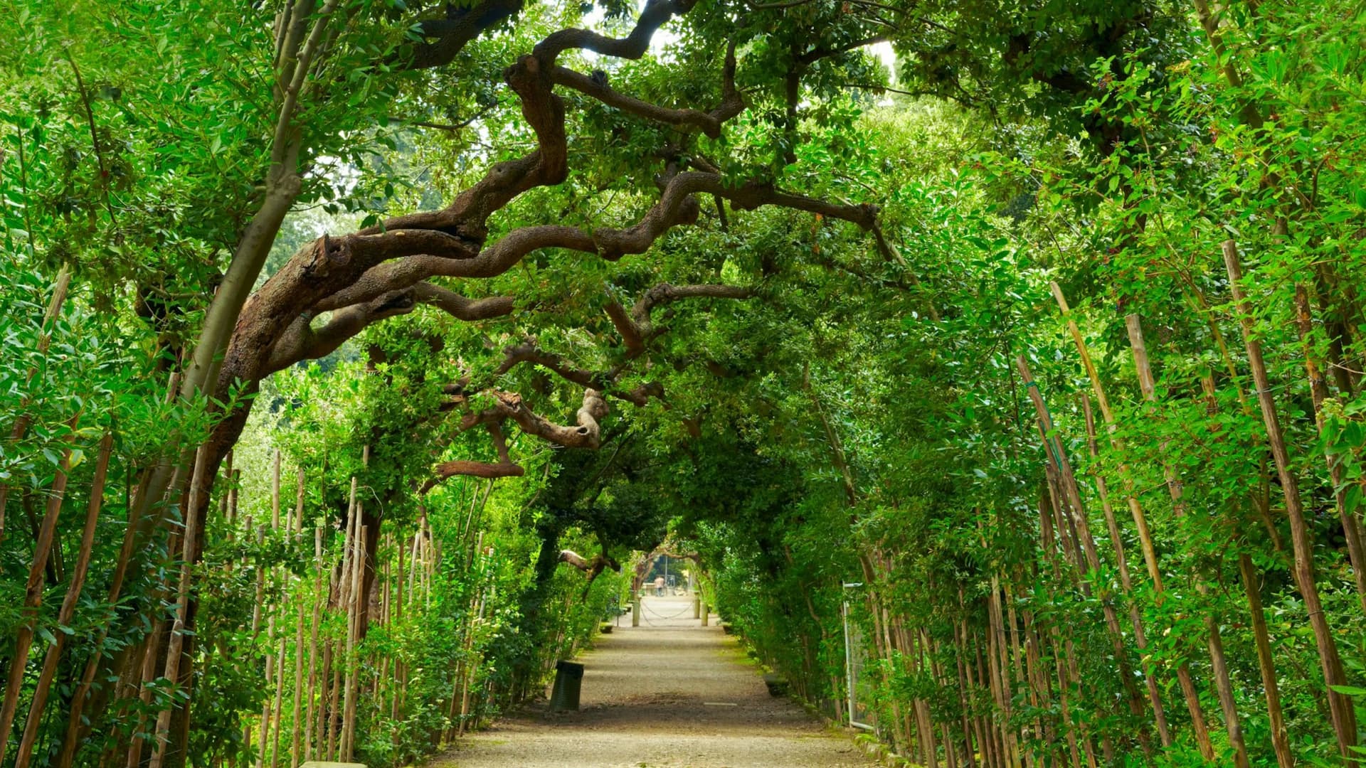 Palazzo Pitti & Boboli Gardens: Reserved Entrance + Florence City Audio Guide - image 7