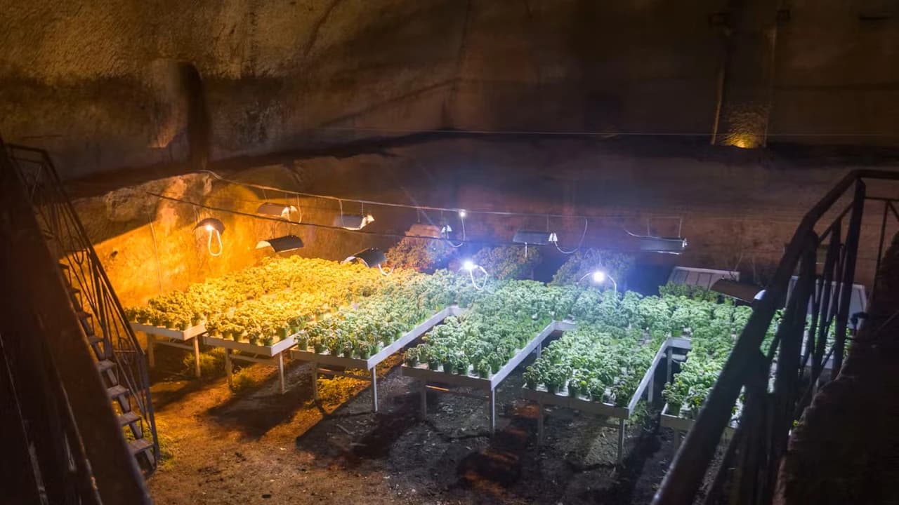 Naples Underground Guided Tour - image 8