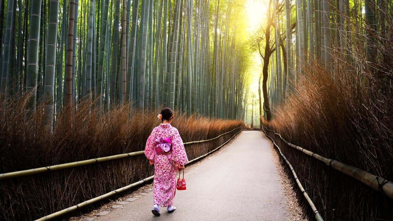 Professional Photo Shoot in Kyoto