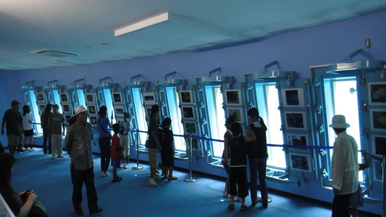 Okinawa Miyakojima Undersea Park