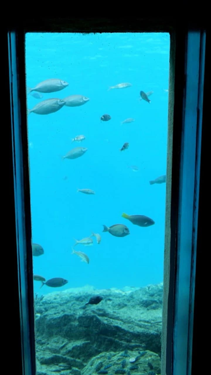 Okinawa Miyakojima Undersea Park - Photo 4