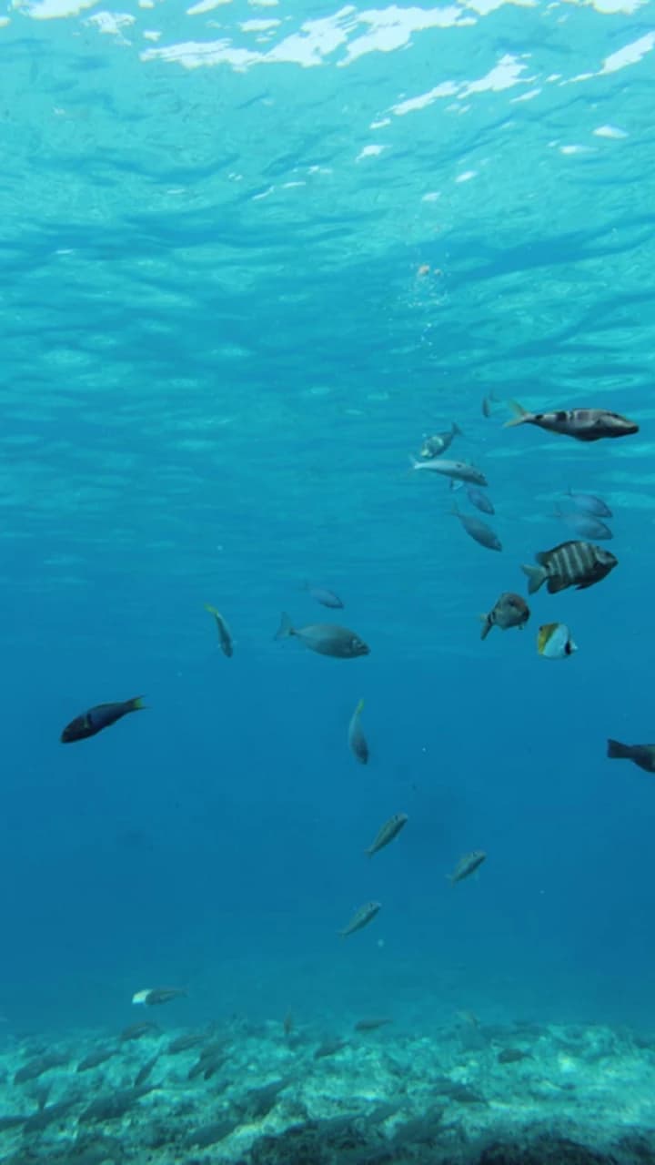 Okinawa Miyakojima Undersea Park - Photo 5