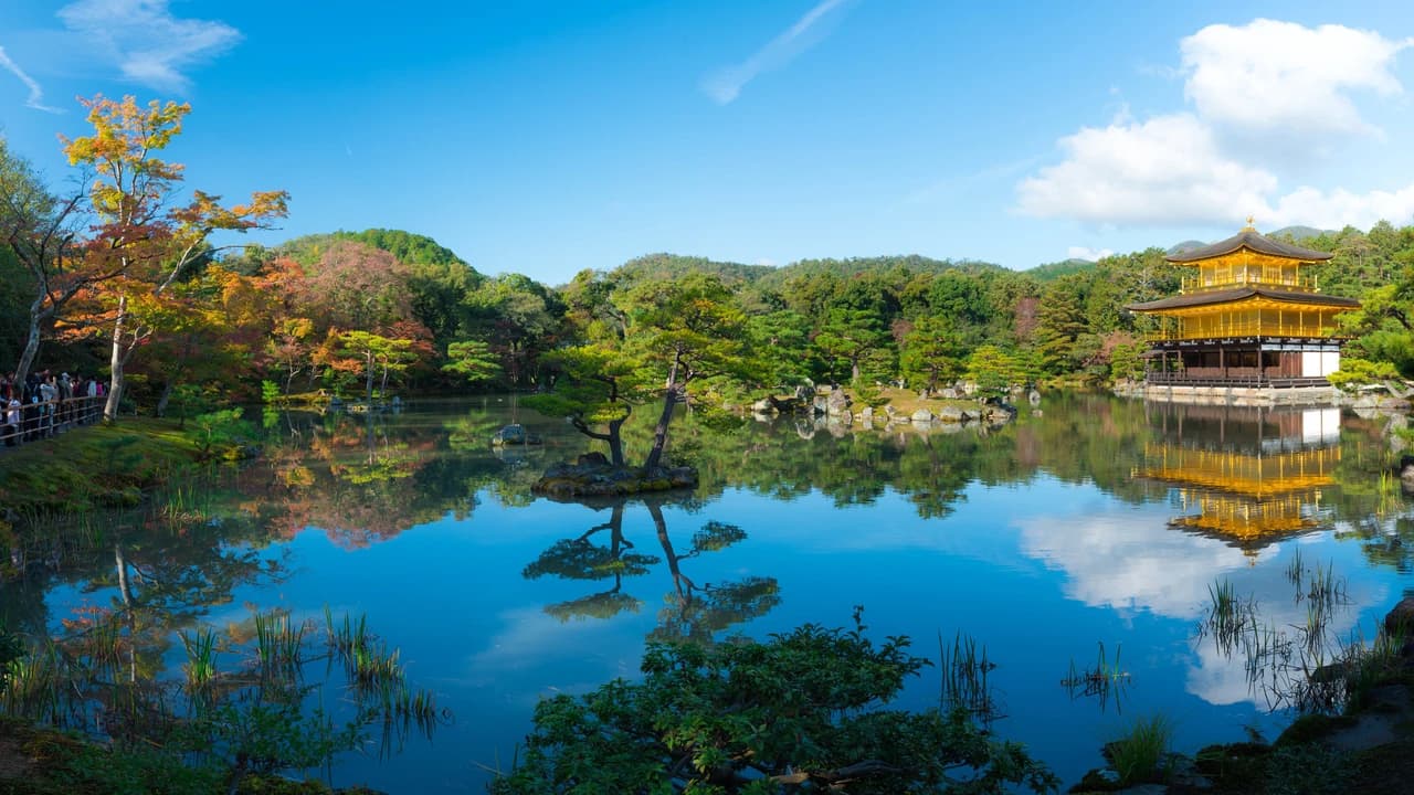 Kyoto and Nara Full-Day Tour from Kyoto
