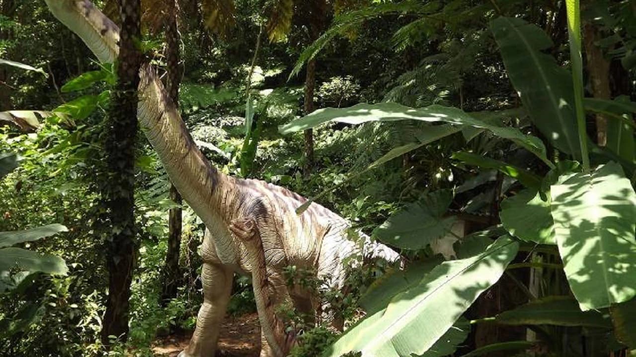 Okinawa Dino Park Yanbaru Subtropical Forest Ticket - image 7