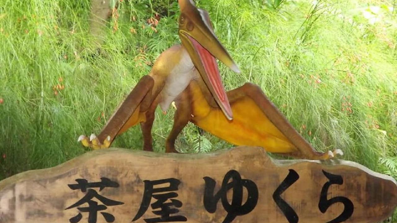 Okinawa Dino Park Yanbaru Subtropical Forest Ticket - image 8