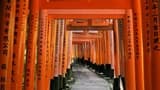 Kyoto Tour from Osaka - Photo 5