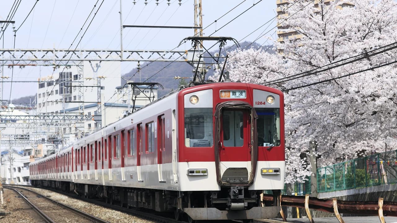 Kansai Railway Pass Lite - Photo 5