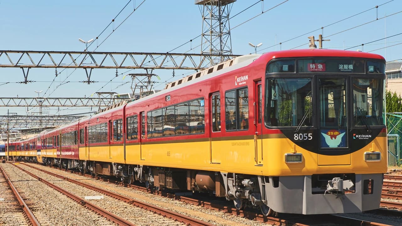 Kansai Railway Pass Lite - image 6