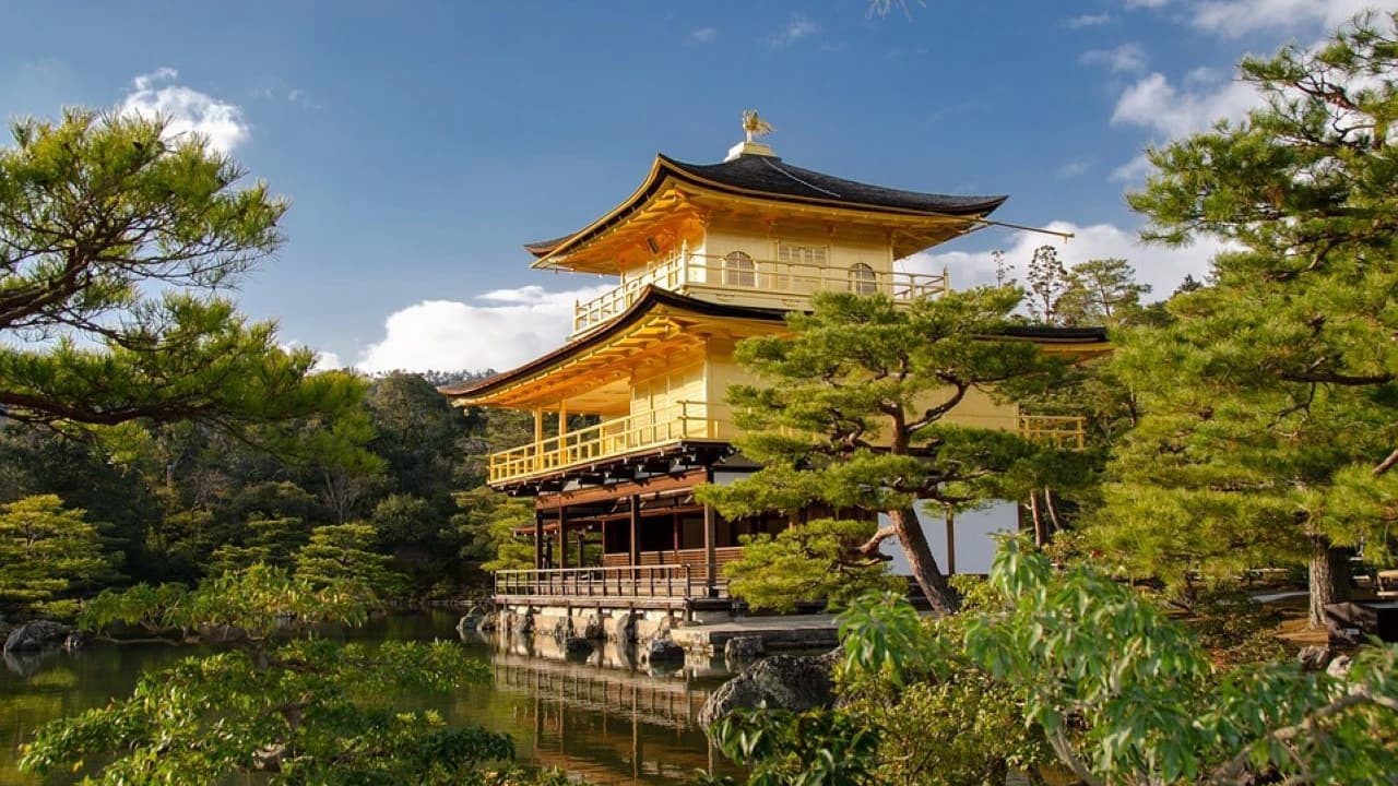 Kyoto Full-Day Tour: Nijo Castle, Kinkaku-ji,  Fushimi Inari Taisha, Kiyomizu-dera Temple - image 8