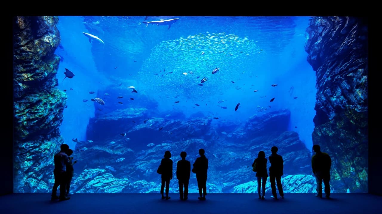 Sendai Umino-Mori Aquarium Ticket