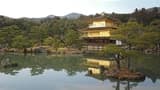 Nijo Castle, Kinkaku-ji Temple and Imperial Palace Tour from Kyoto - image 7
