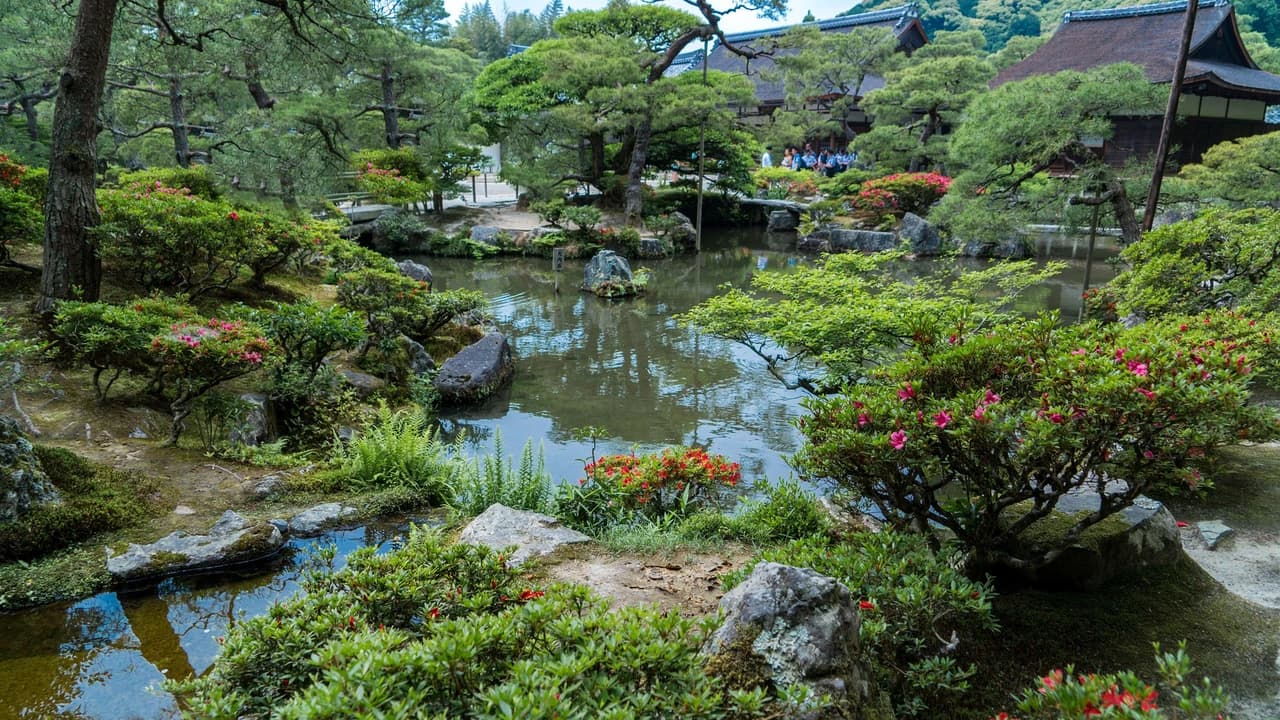 Nijo Castle, Kinkaku-ji Temple and Imperial Palace Tour from Kyoto - Photo 2
