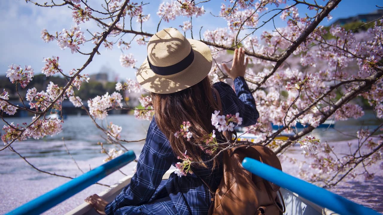 Professional Photo Shoot in Tokyo