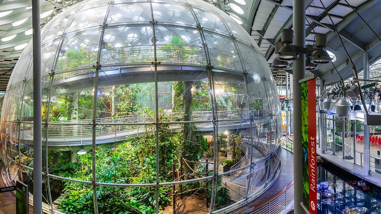 California Academy of Sciences Ticket - Photo 4