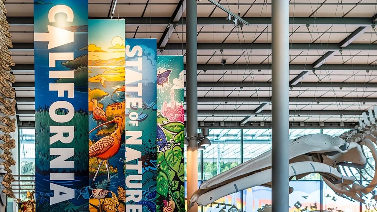 California Academy of Sciences Ticket - image 7