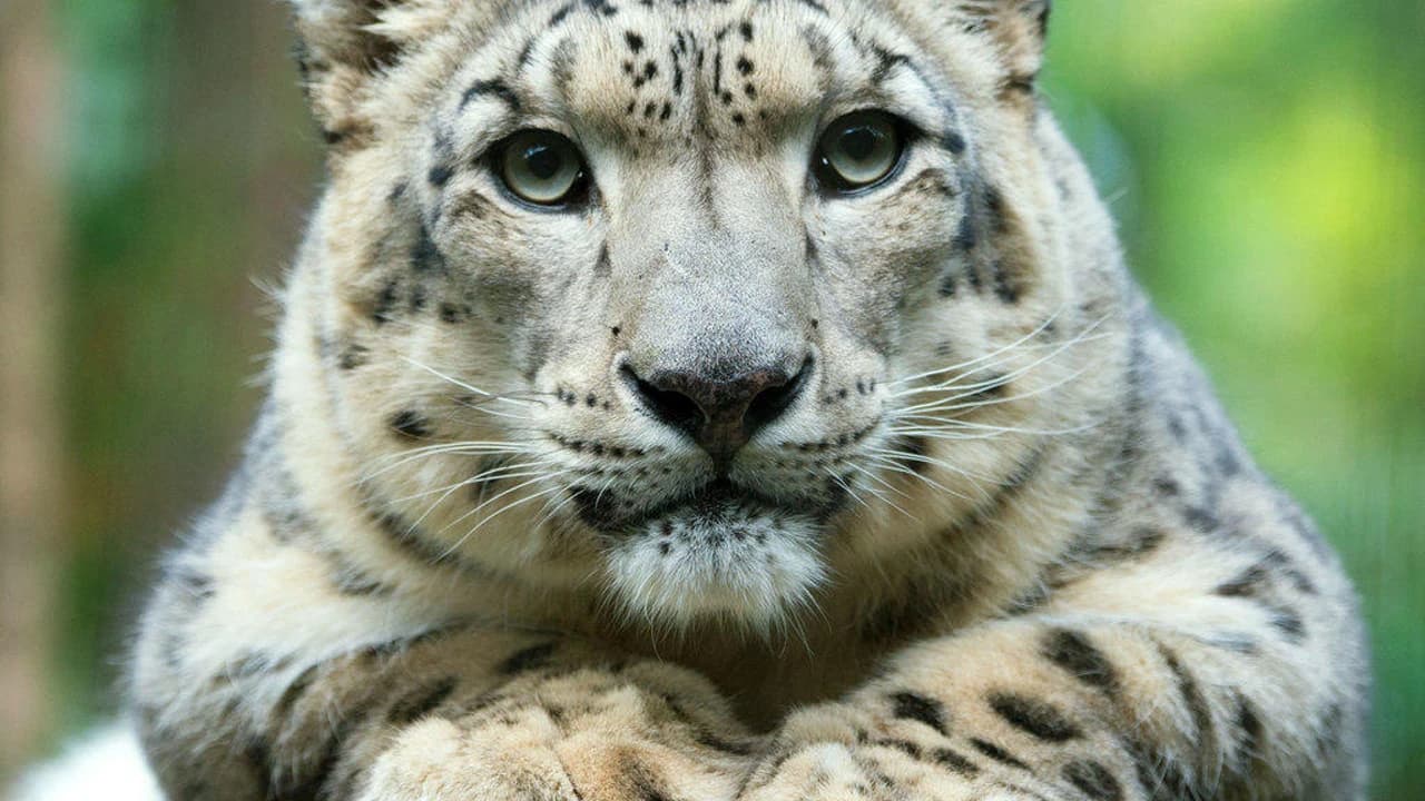 Central Park Zoo