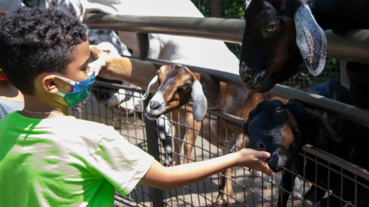Central Park Zoo - Photo 4