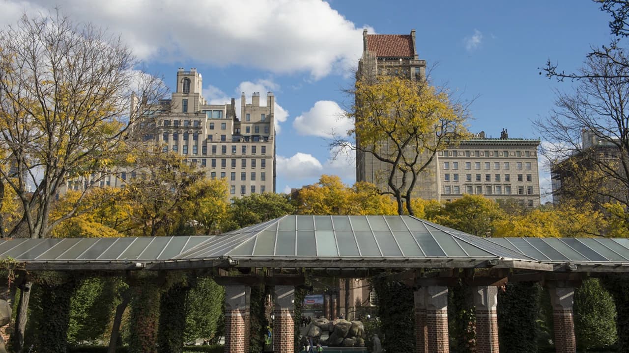 Central Park Zoo - image 6