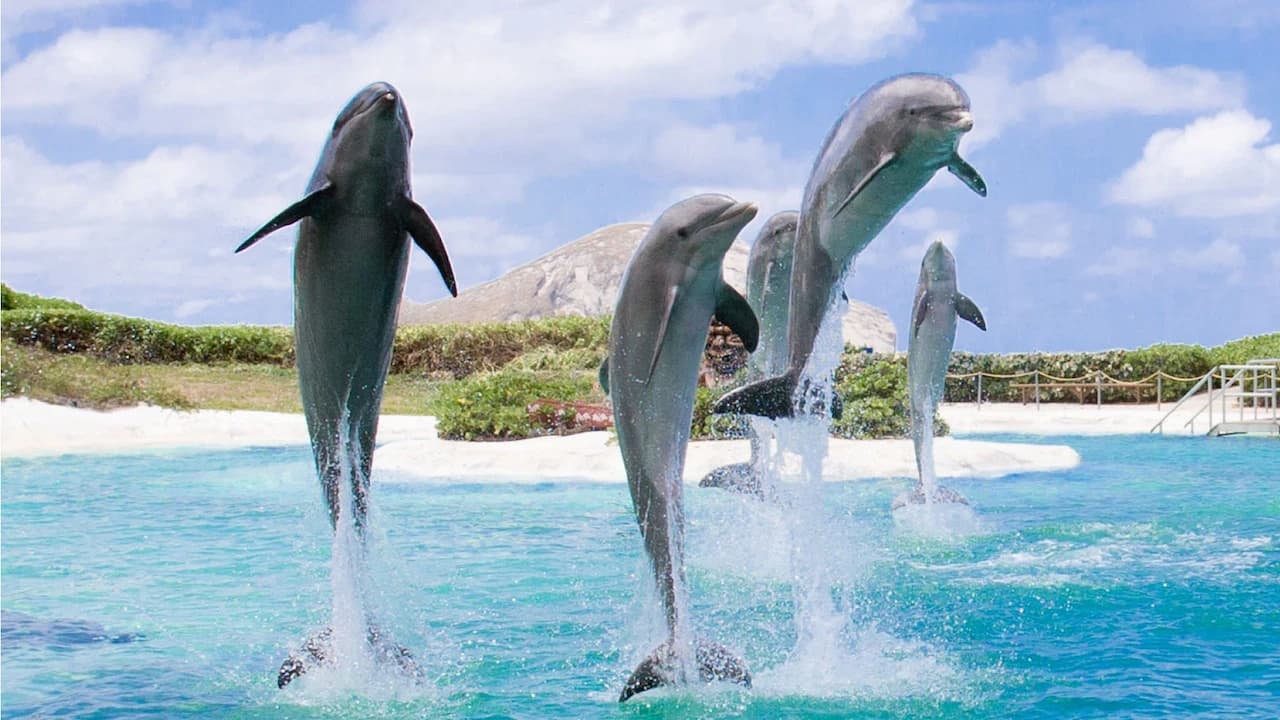 Sea Life Park Hawaii