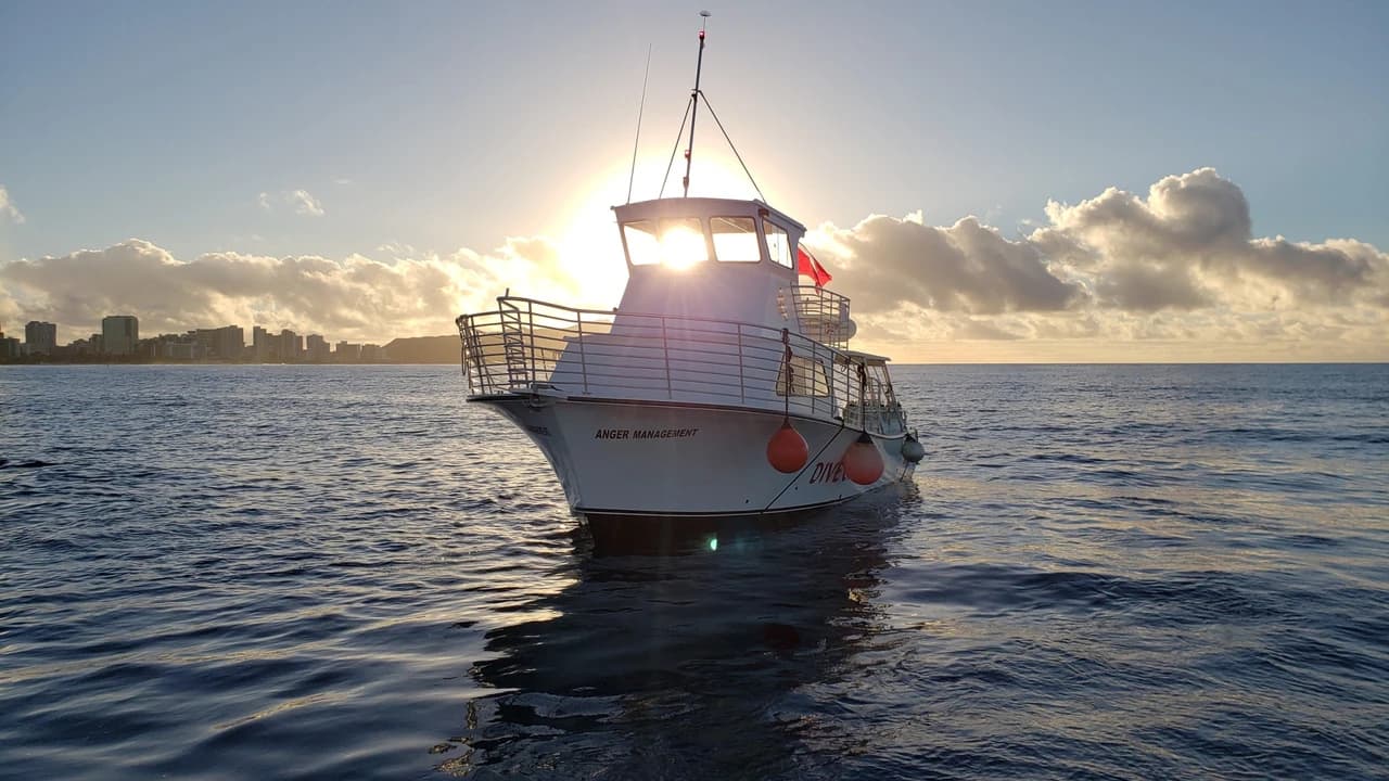 Oahu South Shore Cruise