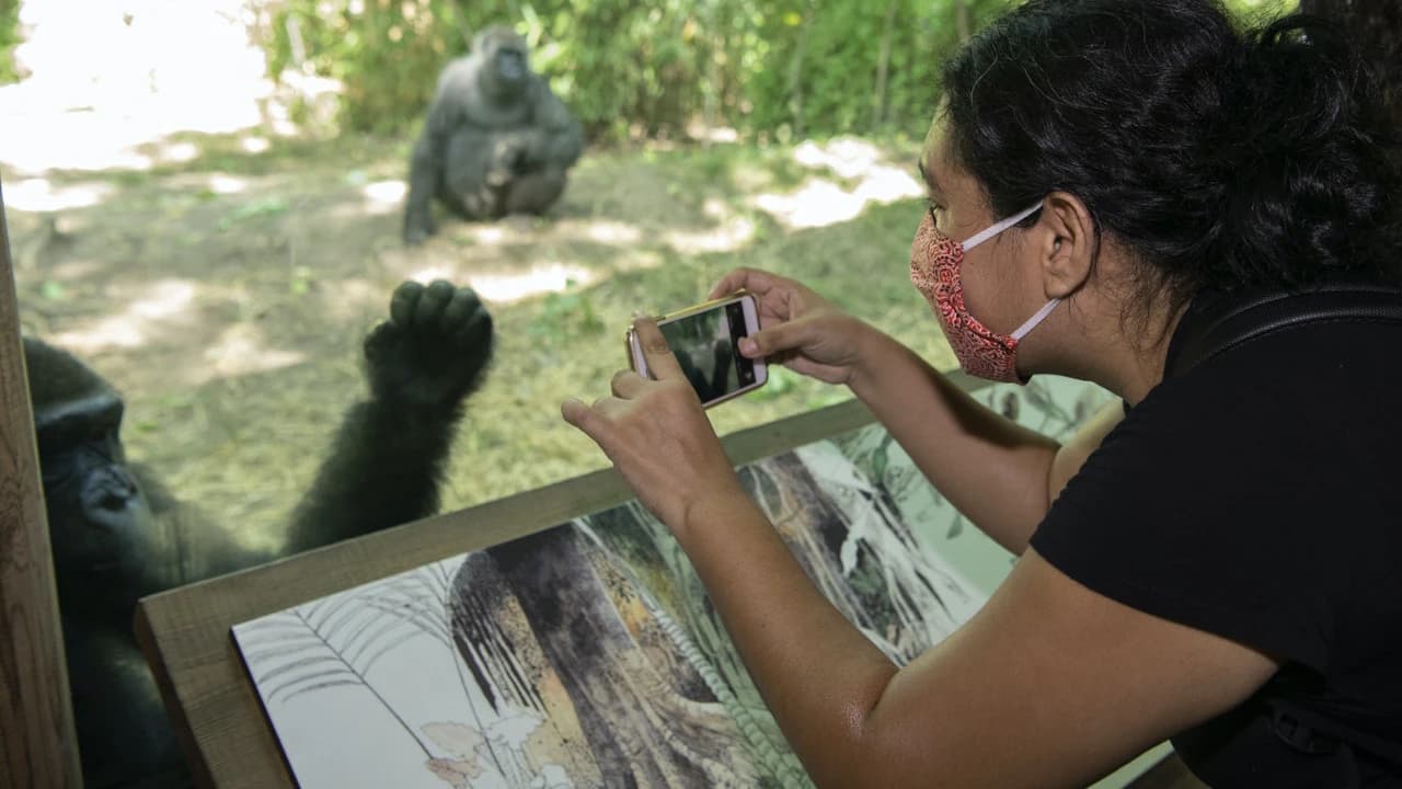 Bronx Zoo - Photo 3