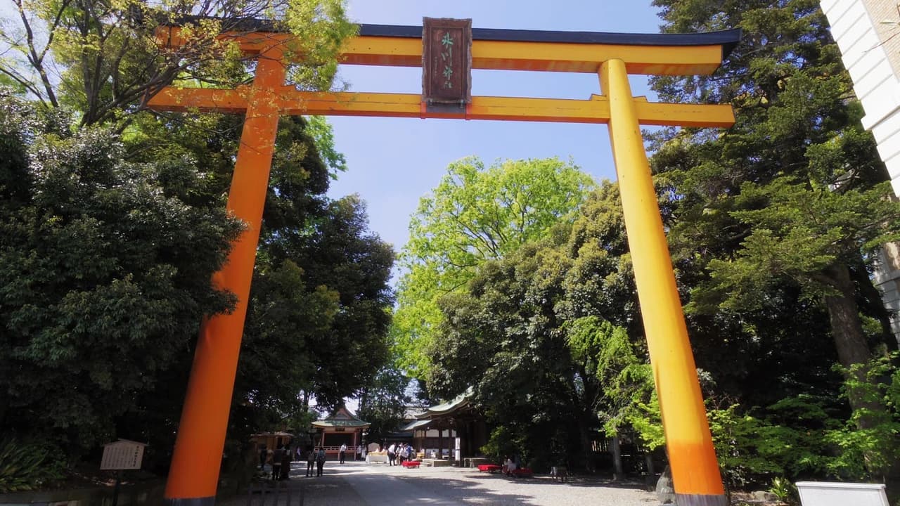 Seibu Kawagoe Pass - Photo 3