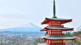 Mount Fuji G Line Full-Day Tour from Tokyo: Arakurayama Sengen Park, Lake Kawaguchi - image 7