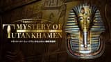 Mystery of Tutankhamen: An Immersive Ancient Egyptian Exhibition - image 8