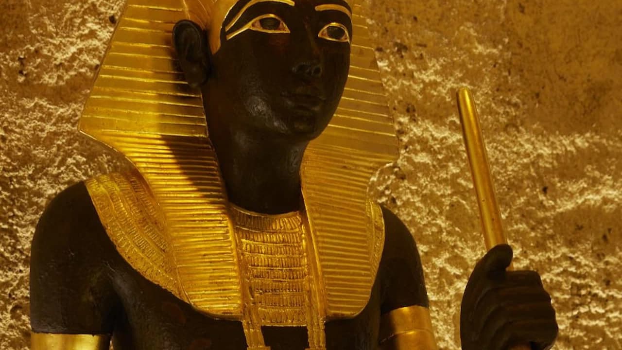 Mystery of Tutankhamen: An Immersive Ancient Egyptian Exhibition - image 7