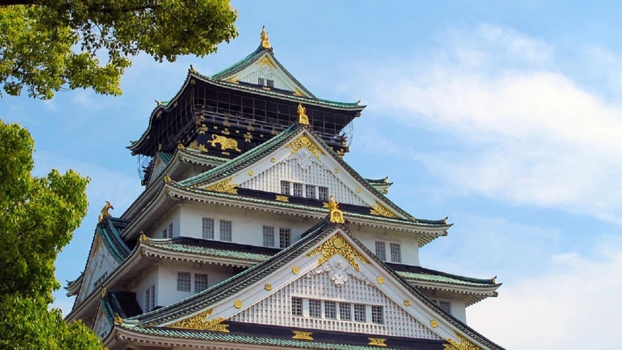 COMBO: Osaka Amazing Pass + Hankyu Pass - Photo 5