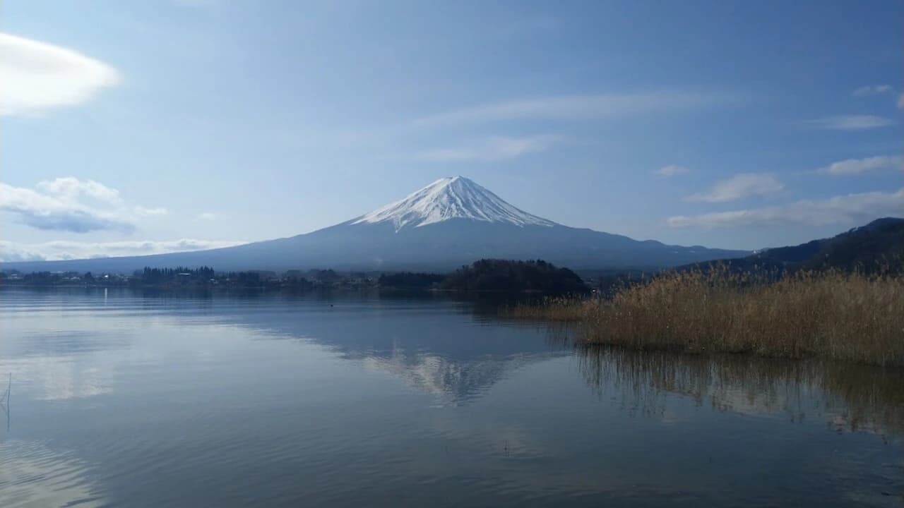 Mount Fuji Day Tour with Kawaguchiko Lake