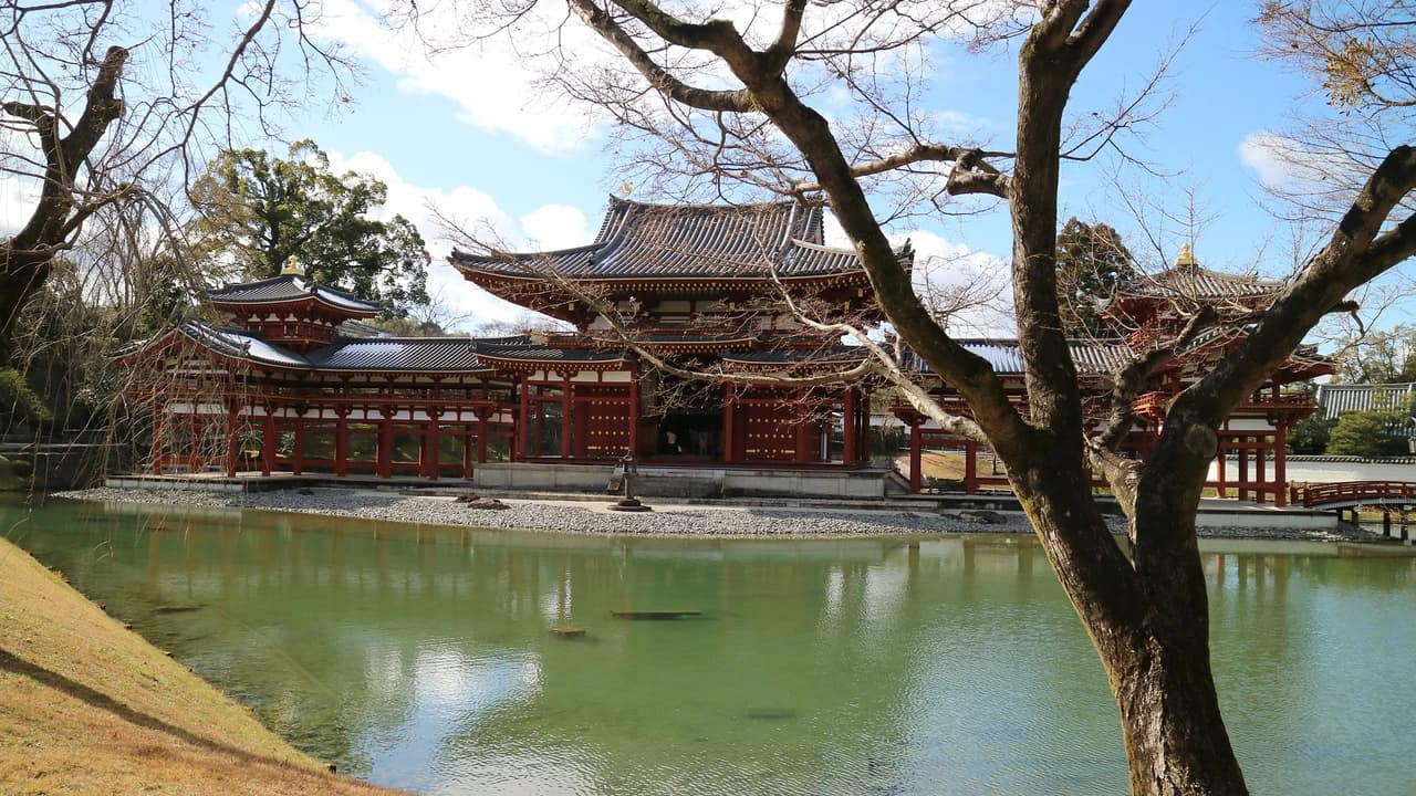 Uji Walking Tour and Tea Ceremony Experience from Kyoto
