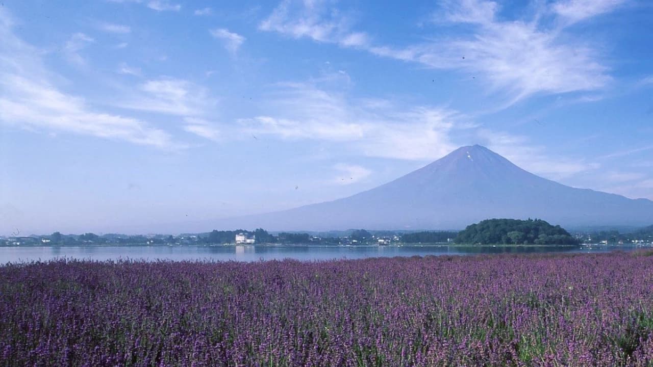 Fuji Hakone Pass
